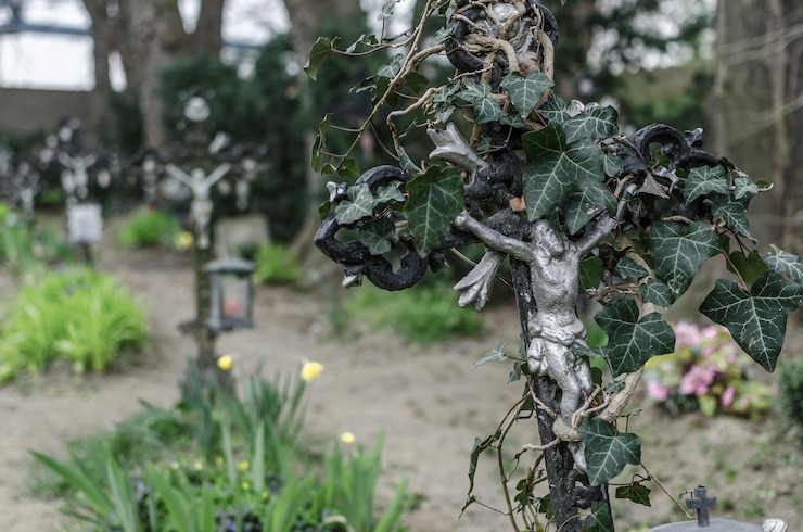 Foto verwachsenes kreuz auf friedhof