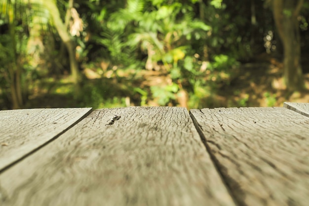 Verwischen Sie Hintergrund der Natur mit einem alten hölzernen Brett.