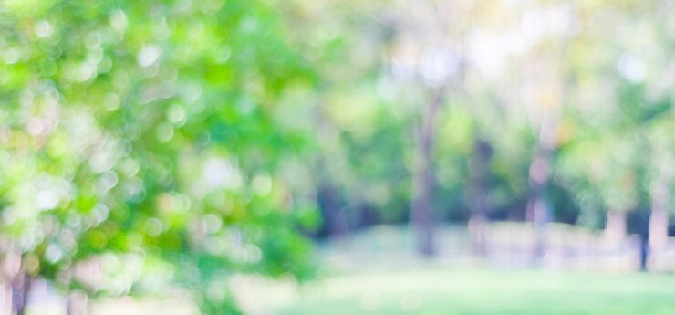 Foto verwischen sie park mit bokeh hellem hintergrund, natur, garten, frühling und sommersaison