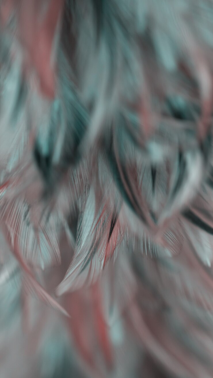 Verwischen Sie Vogelhühner-Federbeschaffenheit für Hintergrund, Fantasie, abstrakte, weiche Farbe des Kunstdesigns.