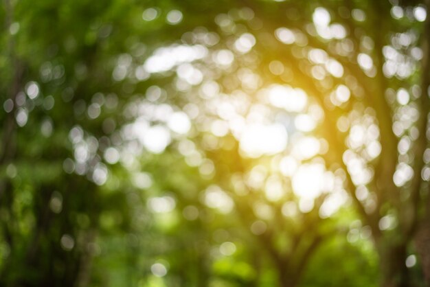 Verwischt von Bokeh auf Blättern Hintergrund