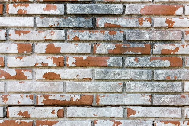 Verwitterte weiße gemalte Backsteinmauer mit der Farbe, die weg fällt, braune Ziegelsteine ​​nach innen zeigend