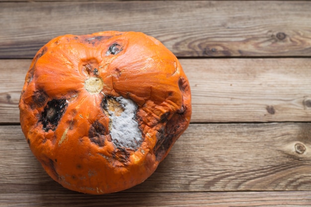 Verwöhnter orange Kürbis mit Schimmel auf einem hölzernen Hintergrund.