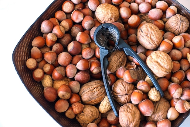 Verzehr von Haselnüssen und Walnüssen für eine gesunde Ernährung