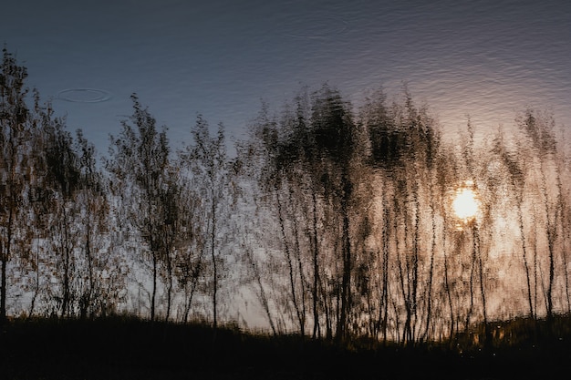 Verzerrte Reflexionen von Bäumen und Sonne im Wasser
