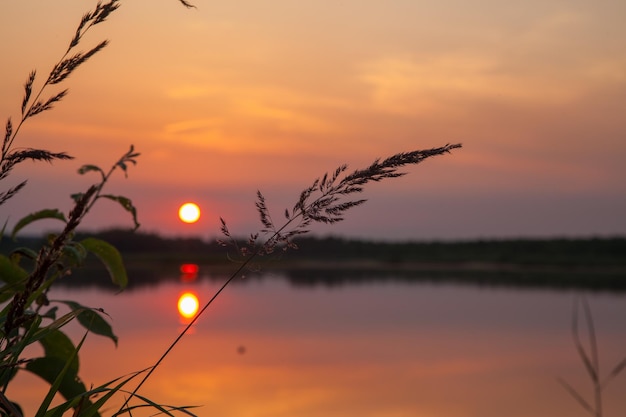 Verzweigen Sie sich am Ufer des Sees unter den Strahlen des Sonnenuntergangs.