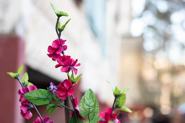 Verzweigen Sie sich mit künstlichen violetten Plastikblumennahaufnahme