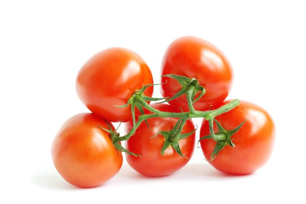 Verzweigte Tomate