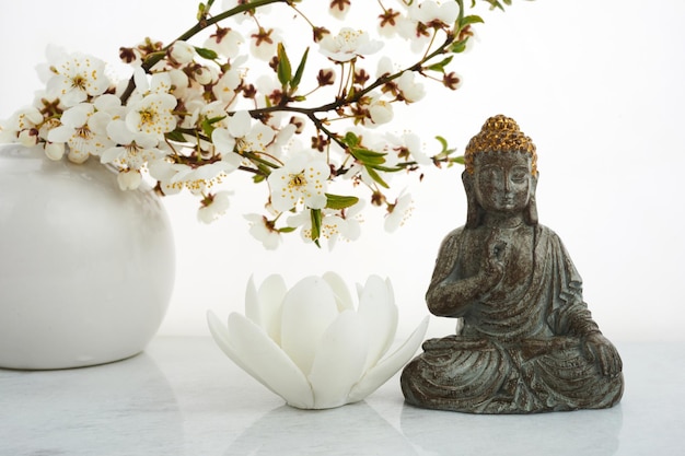 Vesak wesak buddha geburtstag buddha statue mit blühender kirsche auf weißem hintergrund spa-ritual ment