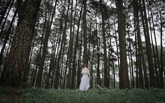Vestido branco vestindo da mulher que anda na floresta.