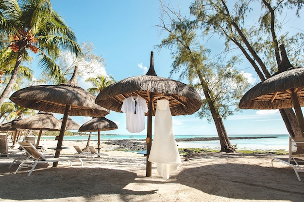 Vestido de novia y traje de novio. Isla. Palmeras. Playa. Arena. El cielo.