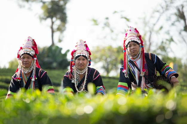 Vestido tribal de la familia Akha en la plantación de té.