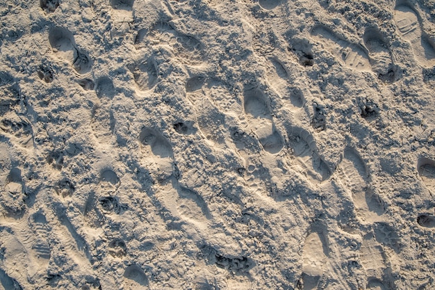 vestígios na areia de sapatos e patas de animais na praia