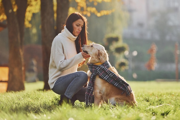 Vestindo o lenço A jovem caminha com o Golden Retriever no parque