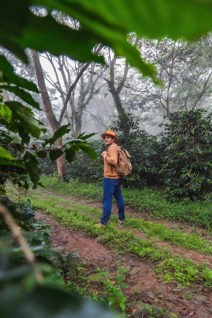 Vestindo um chapéu e uma mochila, um homem se aventura em um campo de plantas de café.
