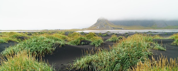 Vesturhorn en mañana de verano