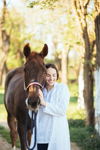 Vet acariciar um cavalo ao ar livre no rancho.