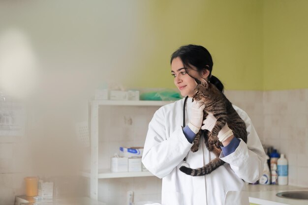 Foto veterinärklinik portrait einer arztin im tierkrankenhaus mit einer niedlichen kranken katze