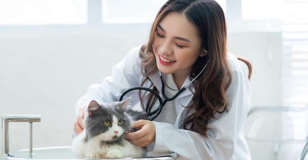 Veterinaria asiática que examina la condición médica de un gato