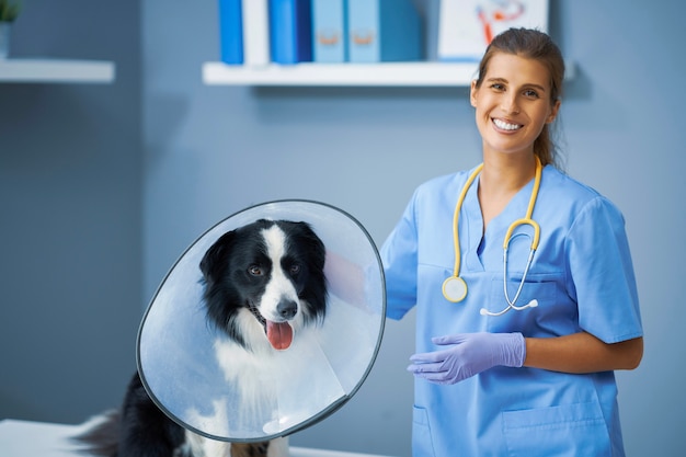 veterinária examinando um cachorro na clínica