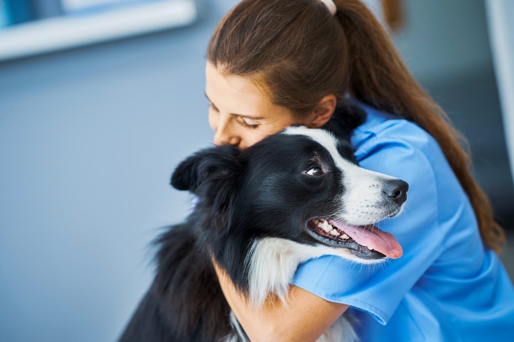 Foto veterinária examinando um cachorro na clínica