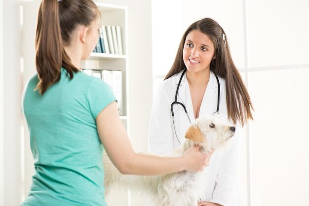 Veterinaria joven con un lindo perro hermoso y dueño.