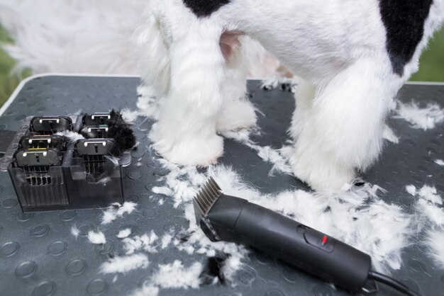 Foto una veterinaria recorta las patas de un perro cuidado profesional de mascotas