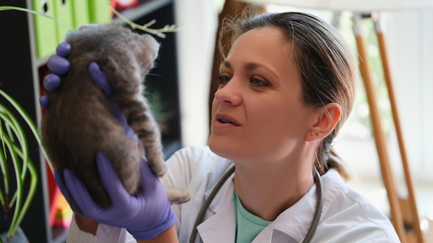 Veterinária segurando um pequeno gatinho fofo em suas mãos fechando o diagnóstico do médico veterinário feminino