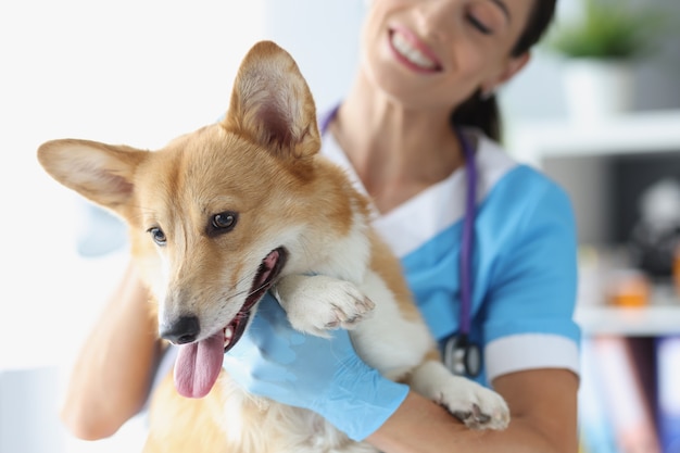 Veterinária simpática segurando cachorro na clínica de assistência médica para o conceito de animais de estimação