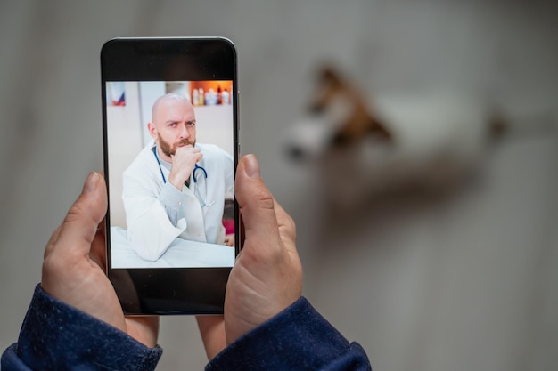 El veterinario aconseja al dueño del perro en línea en su móvil Una mujer hablando con un médico en un chat de video sobre una mascota Primer plano de manos femeninas con un teléfono inteligente Un veterinario trata a un cachorro