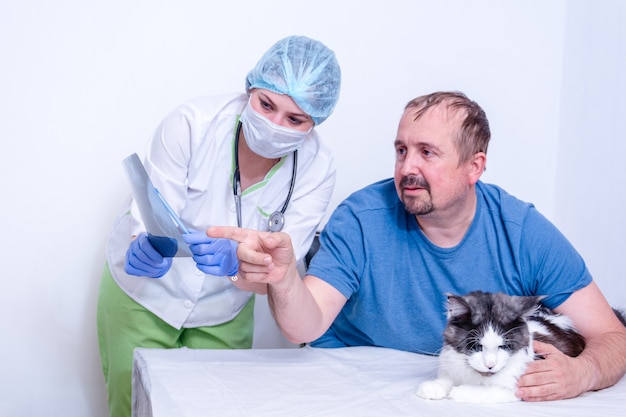 Un veterinario de azul señala a otro una radiografía del gato.