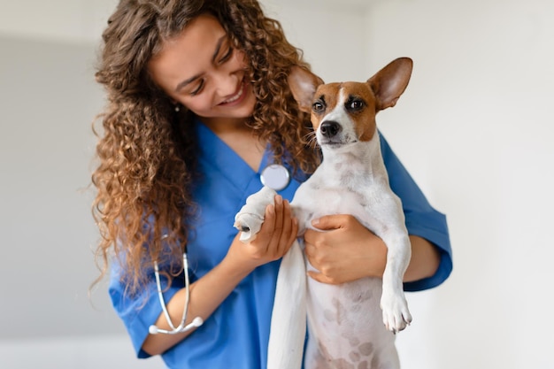 Veterinario de cabello rizado con un perro pequeño