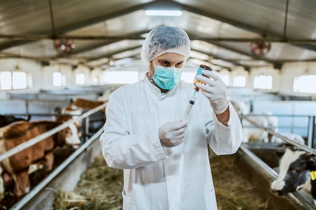 Veterinario caucásico en uniforme protector y con guantes de goma llenando una jeringa con vacuna.