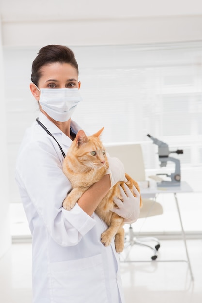 Veterinário com um gato em seus braços