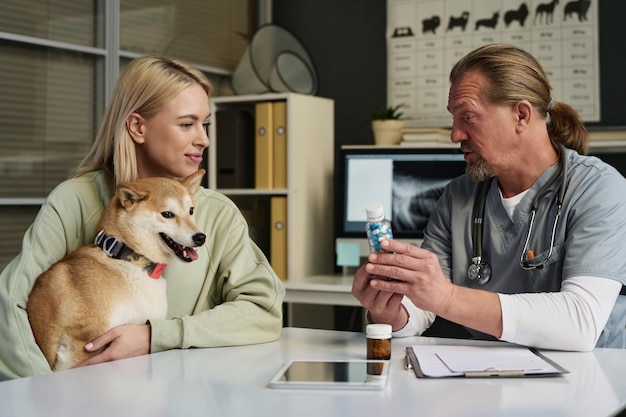 Foto veterinário consultou o dono do cão sobre as vitaminas prescritas