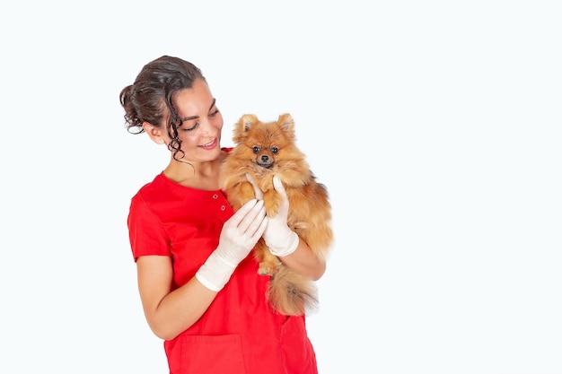 Foto veterinário detém um pequeno cachorrinho