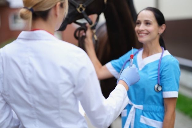 Veterinário e enfermeira examinando o cavalo em close