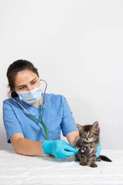 El veterinario examina al gatito con un estetoscopio.