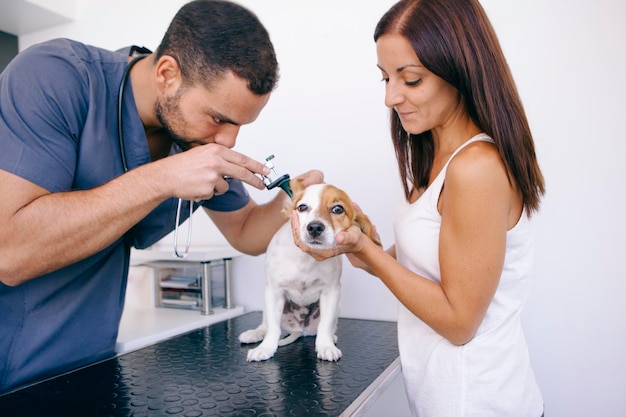 Foto veterinario examinando un cachorro sostenido por una mujer en la mesa en un hospital