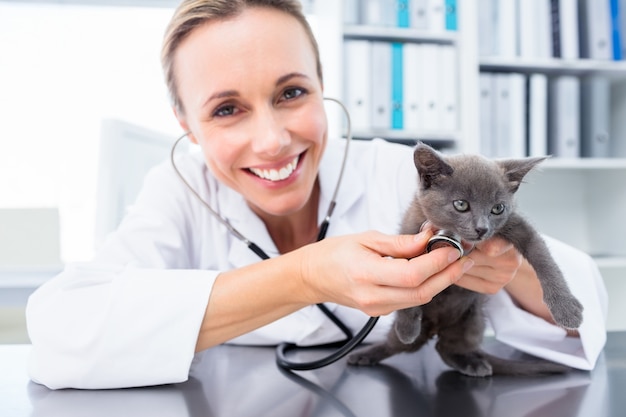 Veterinário examinando gatinho com estetoscópio