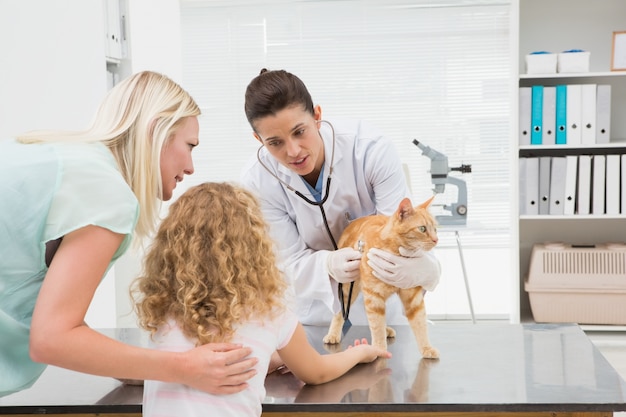 Veterinario examinando un gato con sus dueños