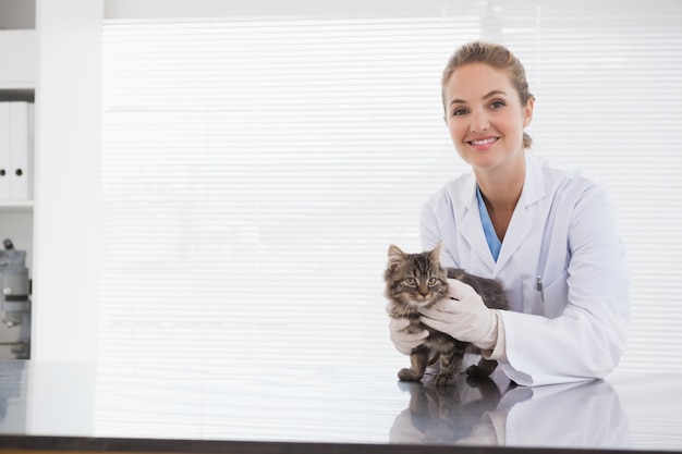 Foto veterinario examinando un pequeño gato