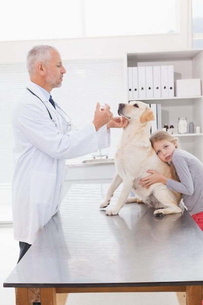 Veterinário examinando um cachorro com seu proprietário ansioso