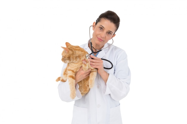 Veterinário examinando um gato com estetoscópio