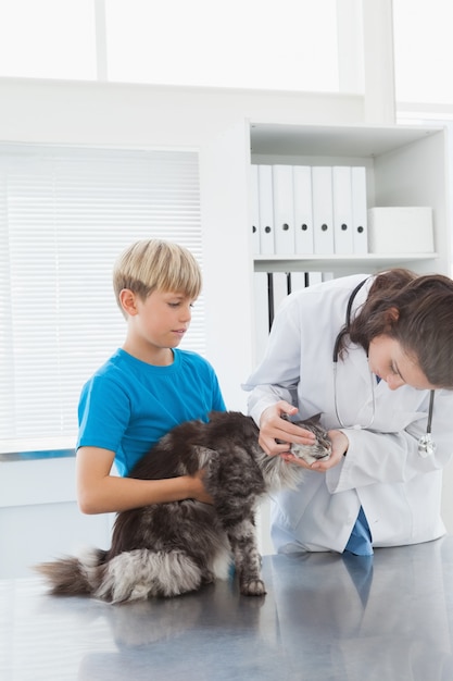 Veterinário examinando um gato com seu dono