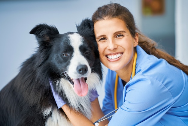 Veterinario femenino examinando a un perro en la clínica