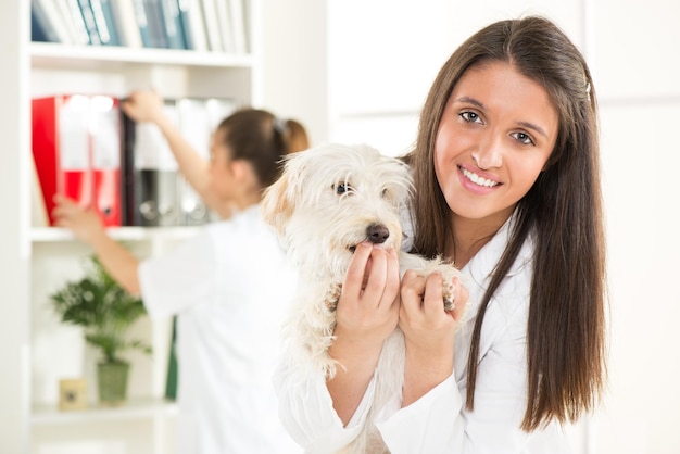 Veterinário feminino jovem com um lindo cachorro fofo.