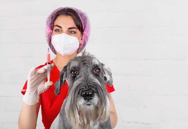 Foto veterinario con una jeringa