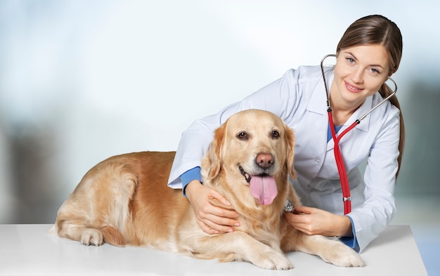 Veterinario joven hermosa con un perro sobre un fondo blanco