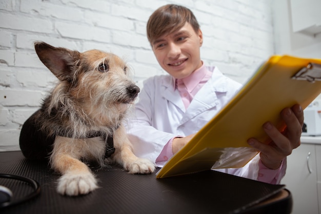 Veterinario macho alegre mostrando lindo perro de refugio sus resultados médicos en un portapapeles después del examen en la clínica veterinaria